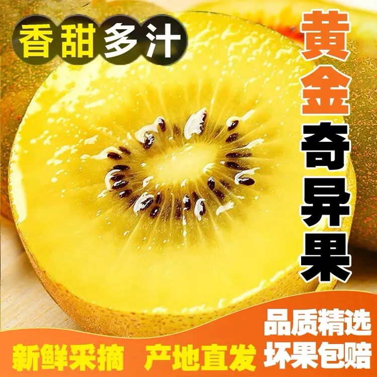 【香甜多汁】正宗国产G3阳光金果奇异果黄心猕猴桃新鲜猕猴孕妇水果