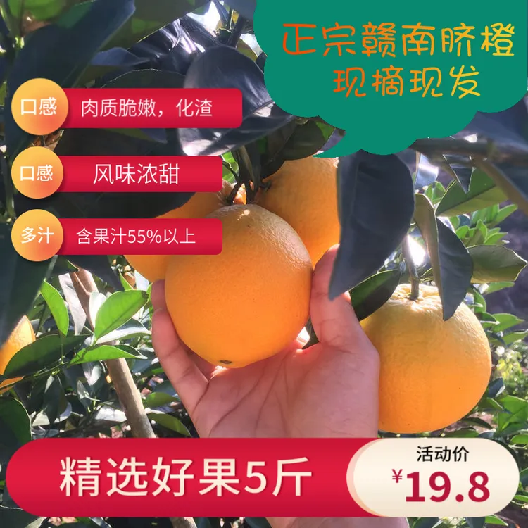 正宗赣南脐橙新鲜现摘当季水果产地直发甜润多汁