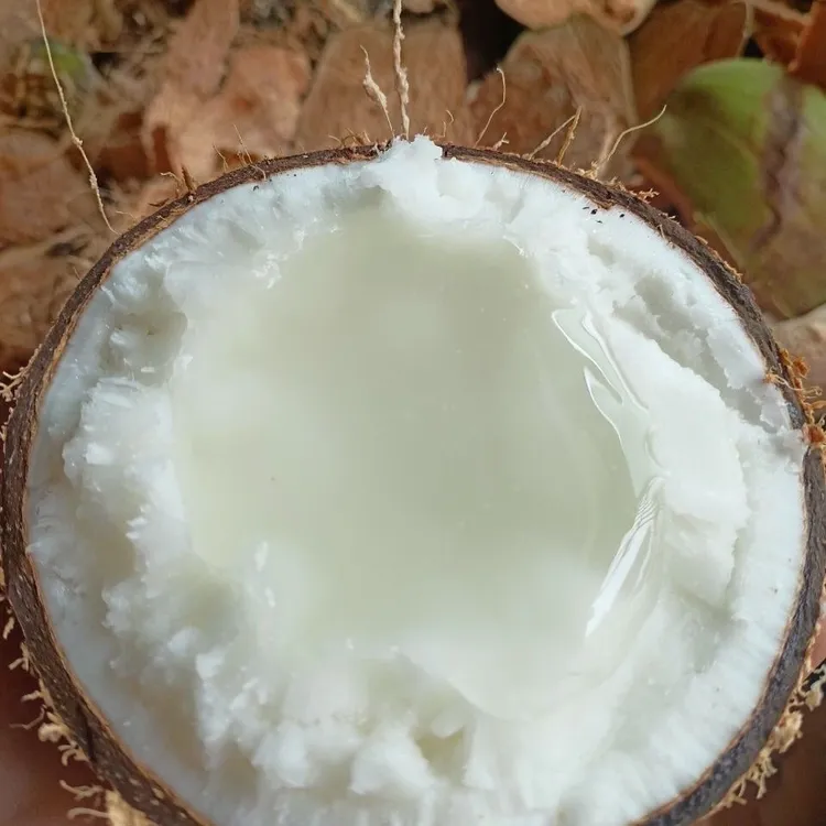 正宗即食糯米椰网红新鲜水果【糯米椰子】新鲜水果名马卡普诺整箱