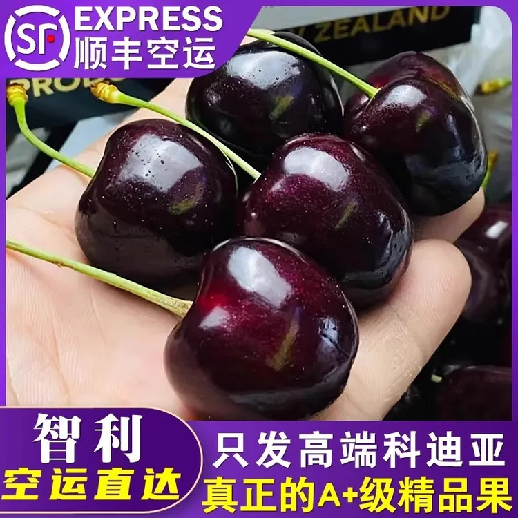 空运科迪亚品种车厘子2J-4J【顺丰空运】2-5斤内附果径卡
