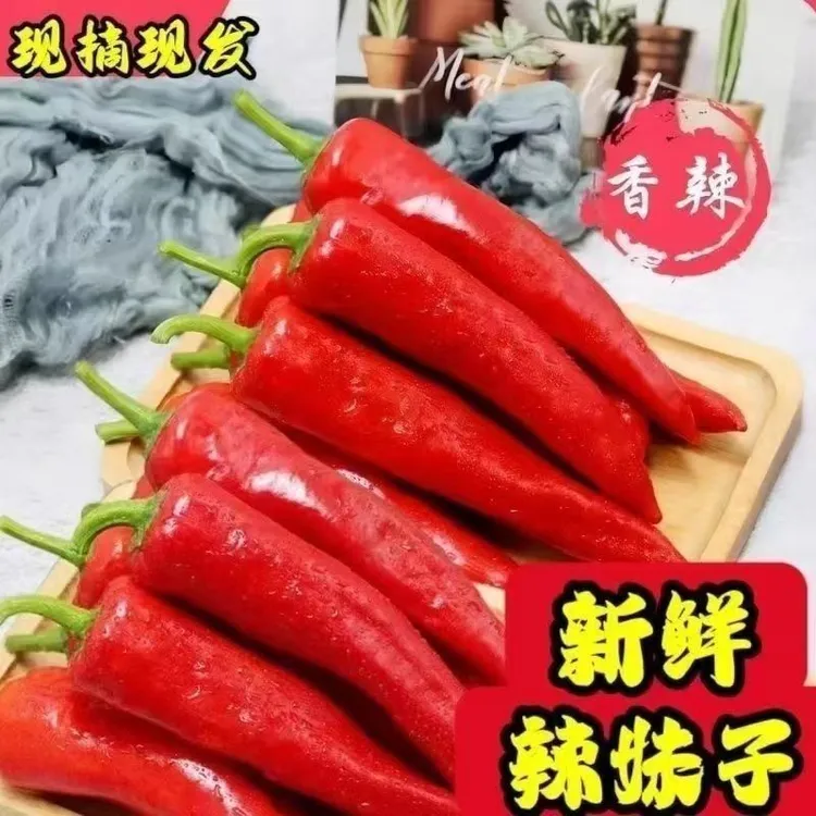 东北新鲜红辣椒长红辣椒红线椒红尖椒红泡椒微辣剁椒辣椒酱