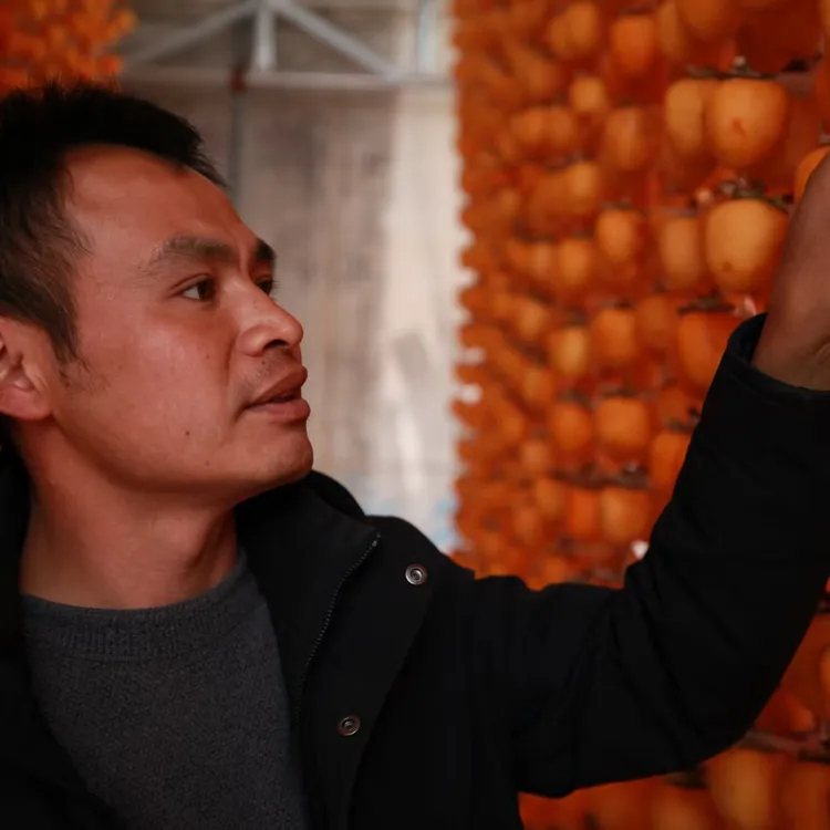 陕西富平霜降农家流心吊柿饼自然晾晒手工独立包装头茬新鲜柿饼