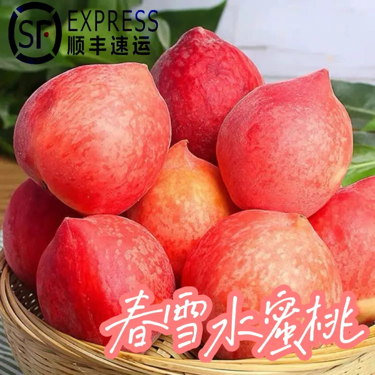 【春雪蜜桃】孕妈推荐现摘现发脆甜爆汁水蜜桃口口脆甜多汁果园直发