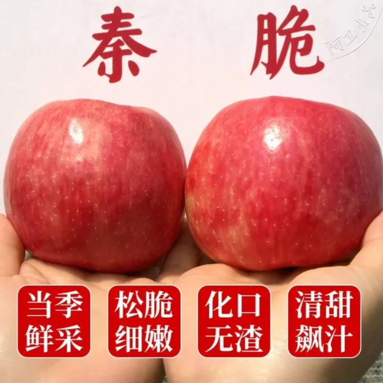陕西秦脆苹果现摘现发当季应季新鲜水果产地直发整箱包邮坏果包赔