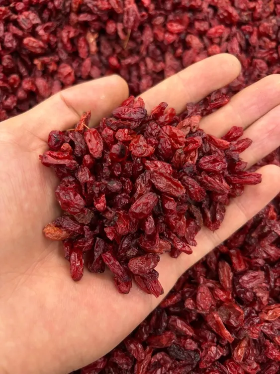 山萸肉精选无核山茱萸大颗粒无染色无增重
