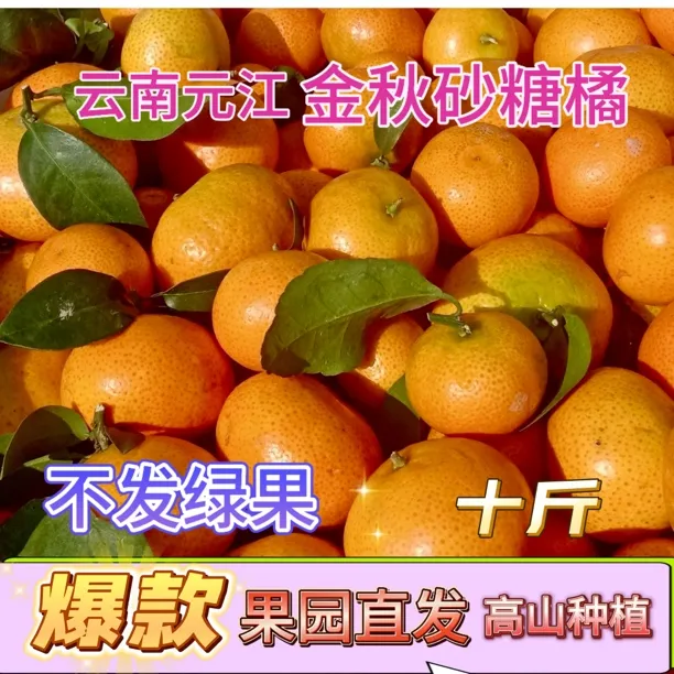金秋砂糖橘云南元江特级10斤甜当季新鲜水果沙糖桔高山种植现摘