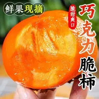 山西正宗阳丰脆柿子巧克力新鲜水果当季甜脆整箱冰糖心包邮脆甜