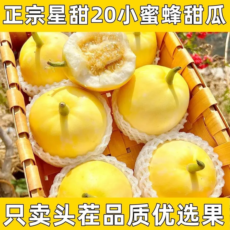 【果园直发 瓜香四溢】星甜20山东头茬小蜜蜂甜瓜早甜瓜蜜罐现摘香瓜整箱5斤