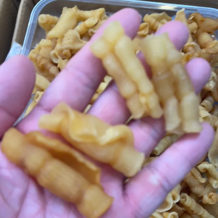 60头凤尾胶红鳘胶深海花胶干货滋补品可炖奶煲汤无腥味