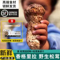 【小茸曜】云南香格里拉新鲜松茸一级未开伞多规格可选