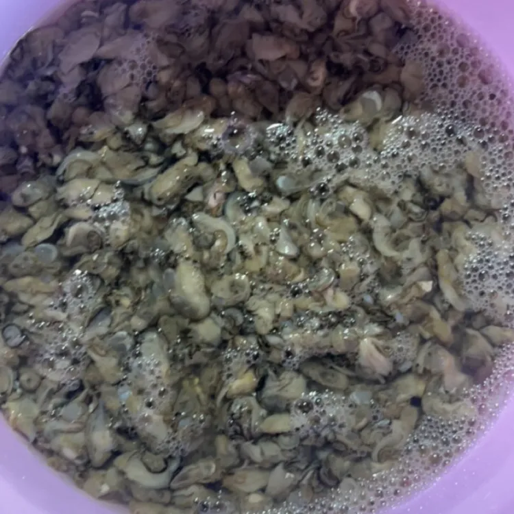 【助农推荐】莆田灵川鲜甜小海蛎新鲜现撬现发无泡水（顺丰冷链）