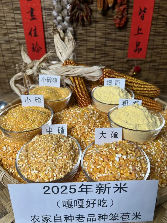 无化肥种植东北老品种玉米  玉米碴子  玉米面  新鲜粗粮  