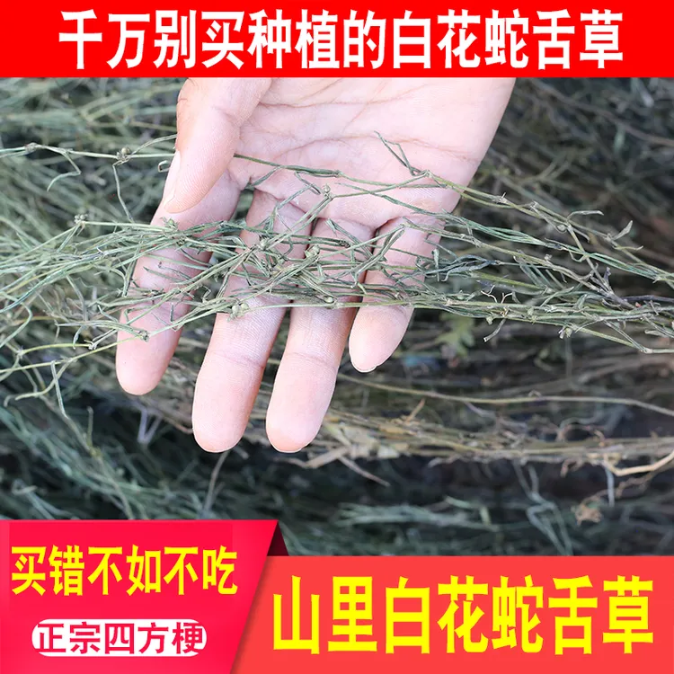 正宗白花蛇舌草干货深山农家晒无硫全草乌骨白花蛇舌草新货半枝莲