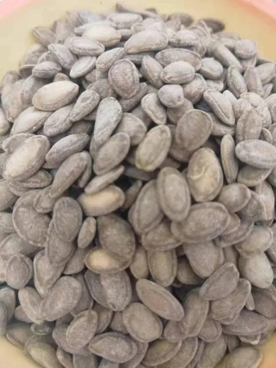 新鲜正宗古法酥脆大颗粒零食美味瓜蒌子新鲜瓜蒌子