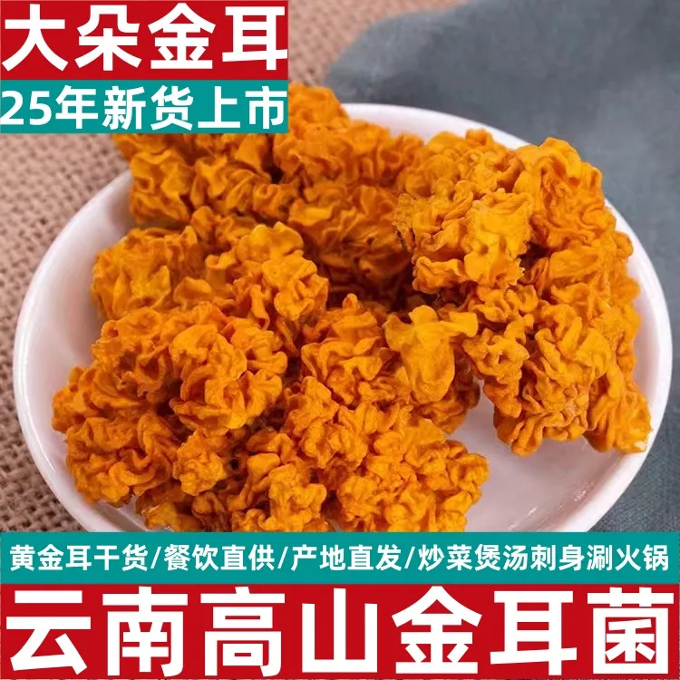 云南特产金耳黄耳菌干货可做银耳羹的黄木耳刺身正宗山货金耳干