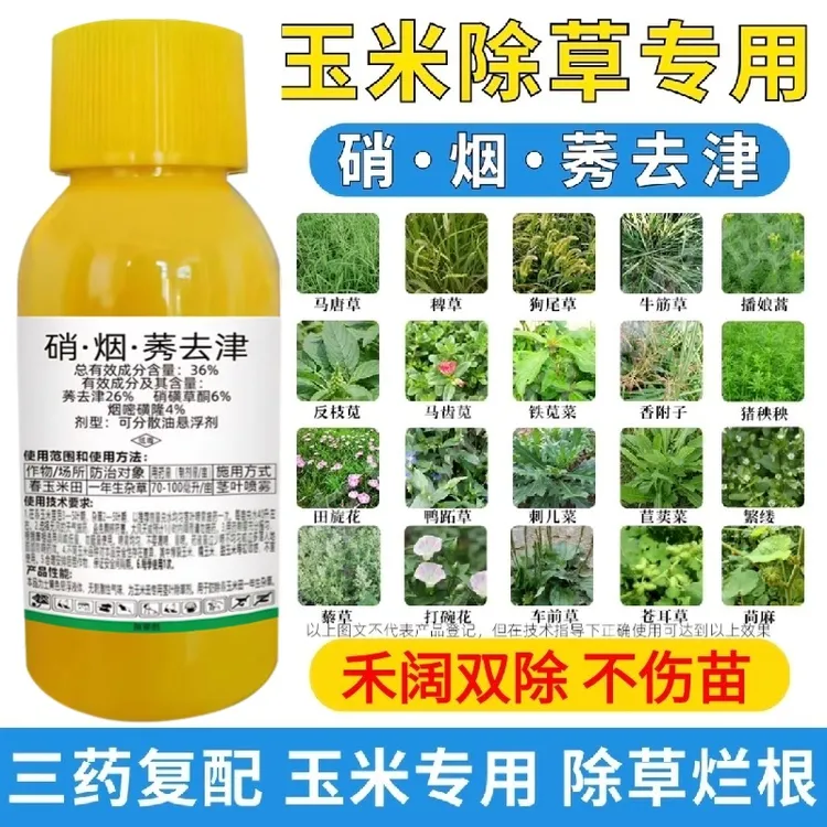36%含量硝烟莠去津玉米苗后恶性专用除草烂根不伤苗高浓度除草剂
