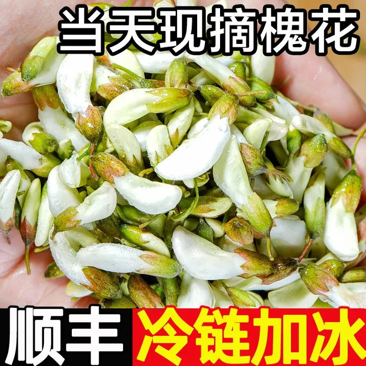 新鲜洋槐花现摘野菜时令蔬菜槐花骨朵
