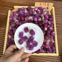 大理头采紫巧梅 花中紫宝石 冬青严选
