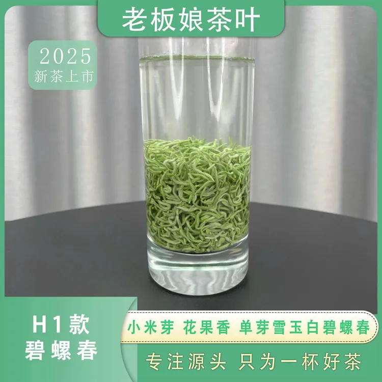 【2025新茶】明前头春源头嫩芽碧螺春H1香气浓郁