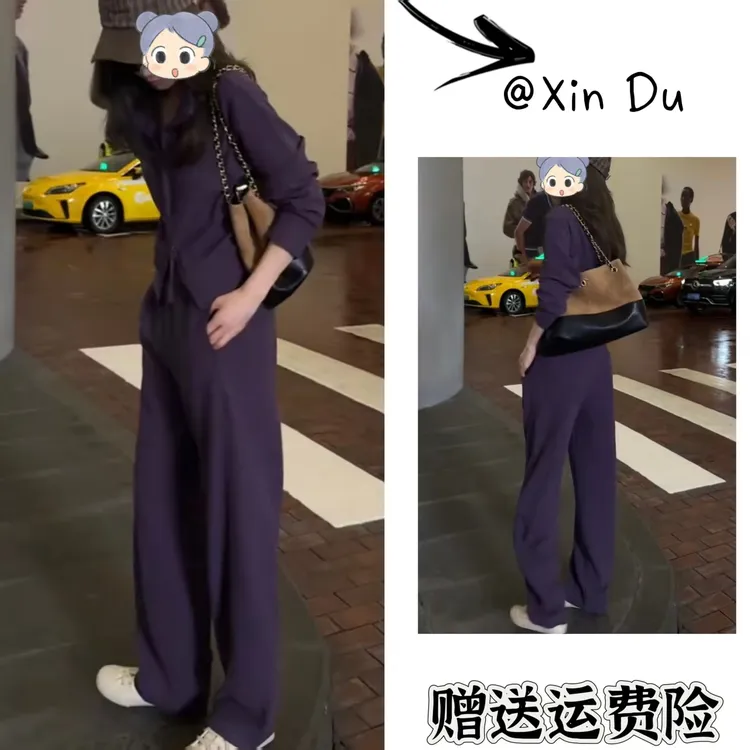 2025秋季新款时尚显瘦气质女士网红洋气两件套百搭款D22458