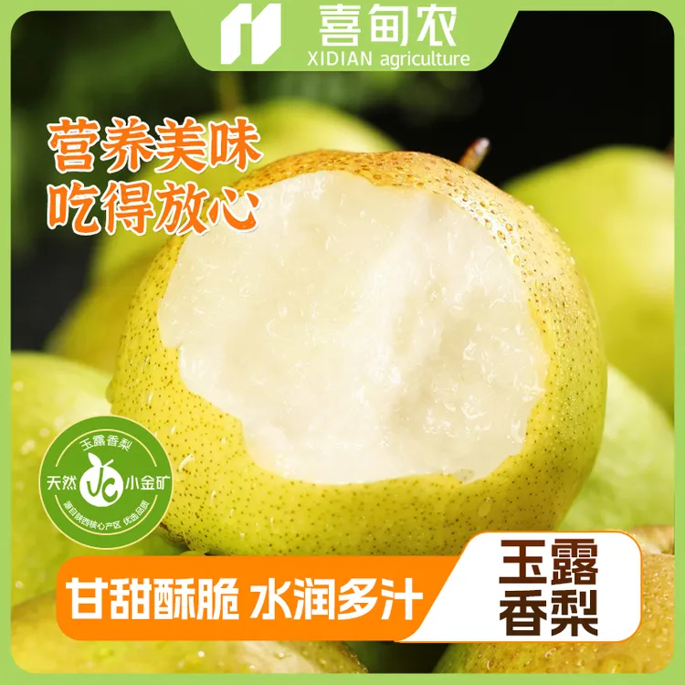 【喜甸农】顺丰鲜达玉露香梨 精品大果礼盒装 香甜新鲜应季当季水果