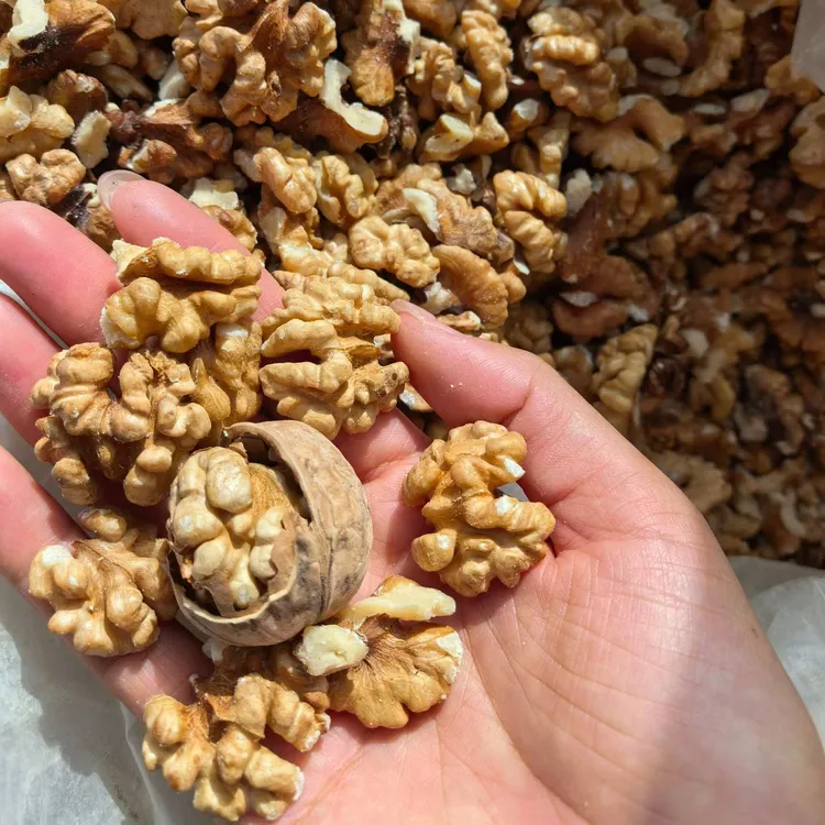 新疆纸皮核桃仁2/5斤