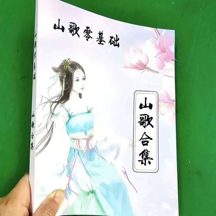 2025云贵山歌山歌合集十三韵317页