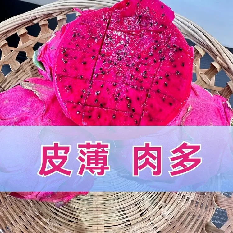 广西山地红心火龙果 自家种植现摘现发  皮薄多汁应季新鲜