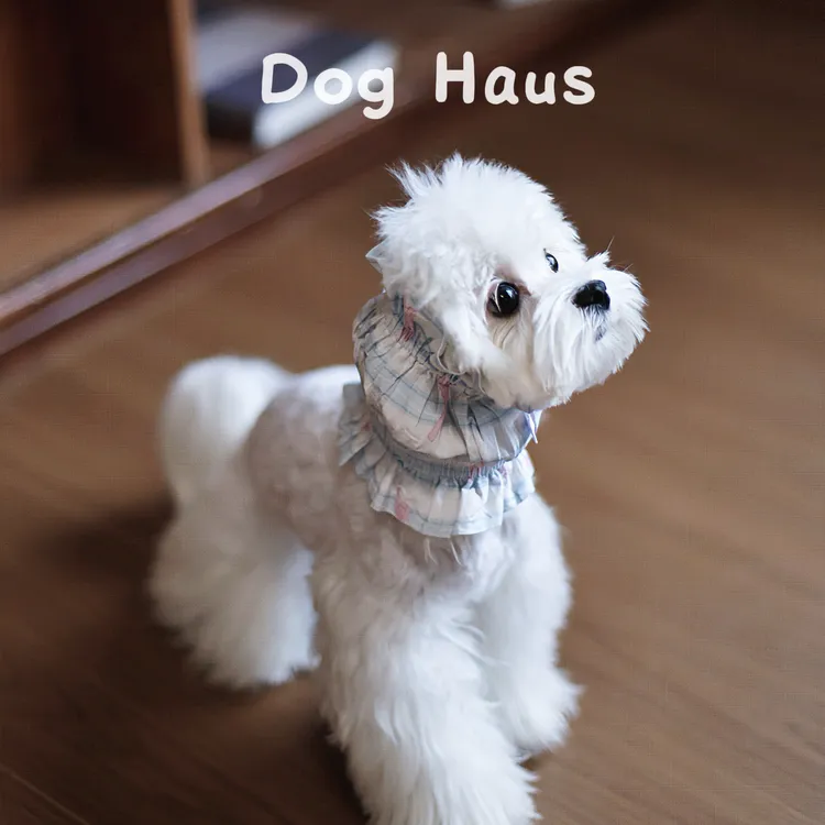 DogHaus狗狗耳套大耳朵长毛狗狗吃饭喝水防脏防污防尘美卡可卡布