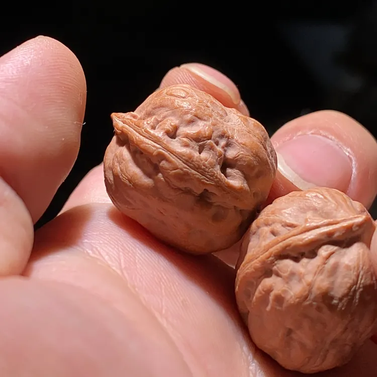 蛤蟆头小核桃手捻文玩核桃手捻全品无瑕疵油性十足密度压手编号24