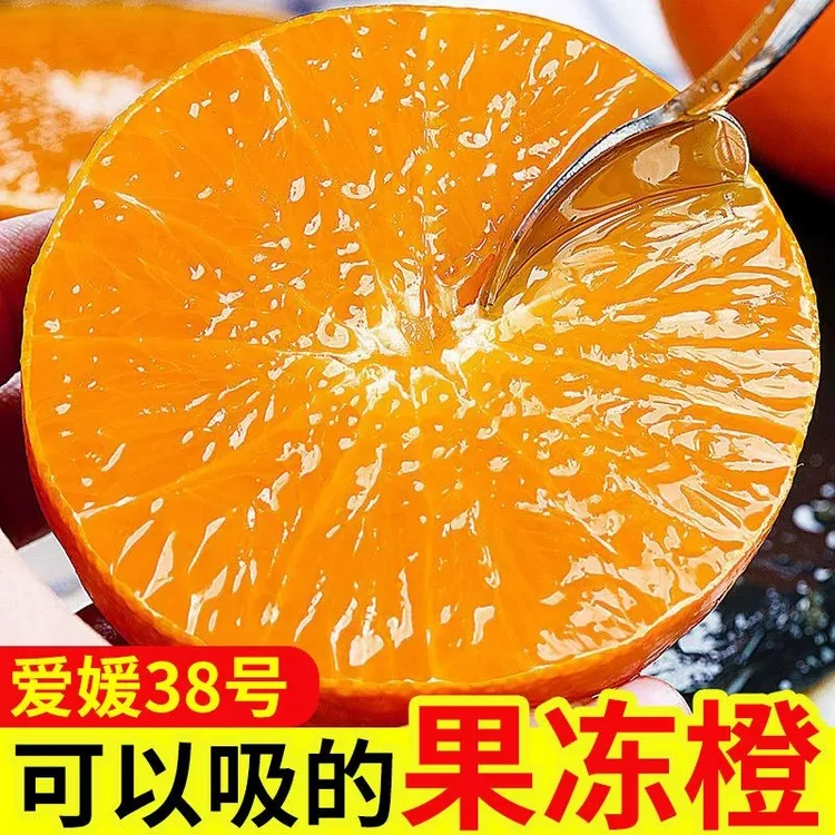 正宗四川眉山爱媛38号果冻橙子4.5斤当季新鲜水果柑桔蜜橘爆汁