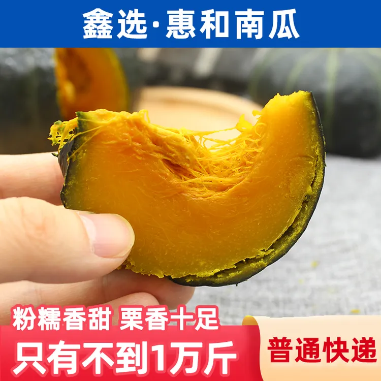 鑫选 惠和贝贝小南瓜4.5斤 营养辅食甄选 粉糯香甜 产地直采