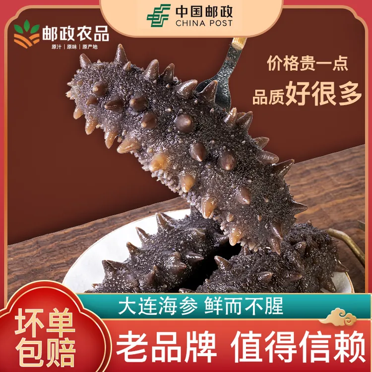 【邮政农品补贴】鲜蒸海参2500g共5斤开袋即食孕妇送礼海参即食