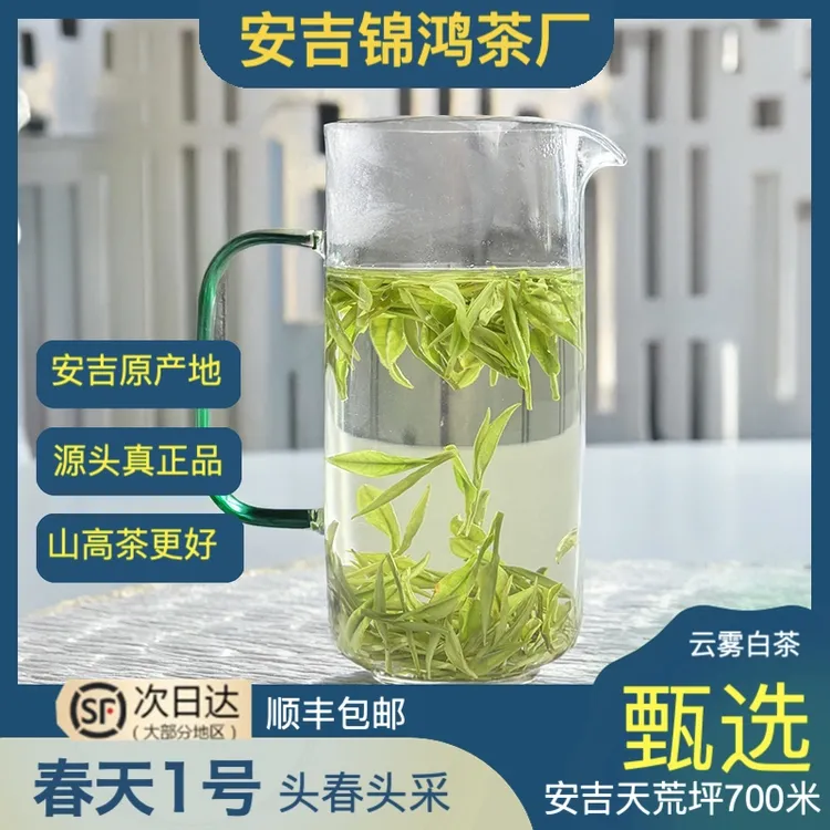 春天一号 A94正宗安吉原产高山白茶绿茶珍稀白茶口粮茶严选兰花香