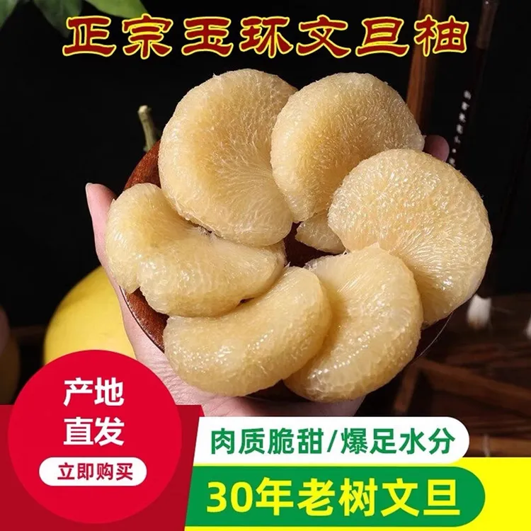 正宗玉环文旦柚水嫩多汁新鲜饱满应季水果优质农产品产地直发