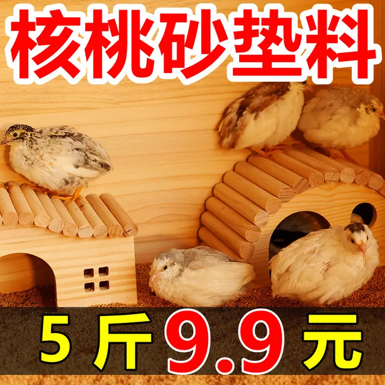 芦丁鸡核桃砂垫料生物酶除臭鹦鹉专用清洁沙子打底小仓鼠木屑用品