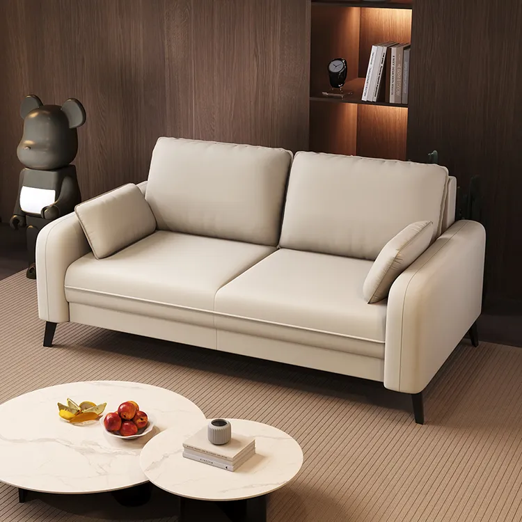 沙发小户型客厅2025新款现代简约休息区接待出租房双人布艺小沙发