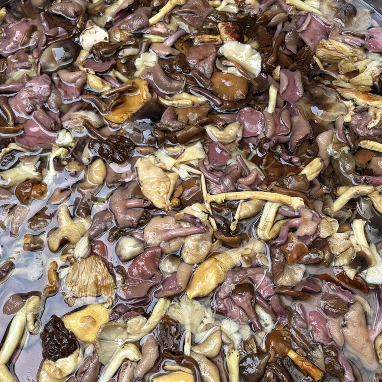 万源高山纯野生杂菌（菌子带盐份需泡水2小时候在清洗食用）