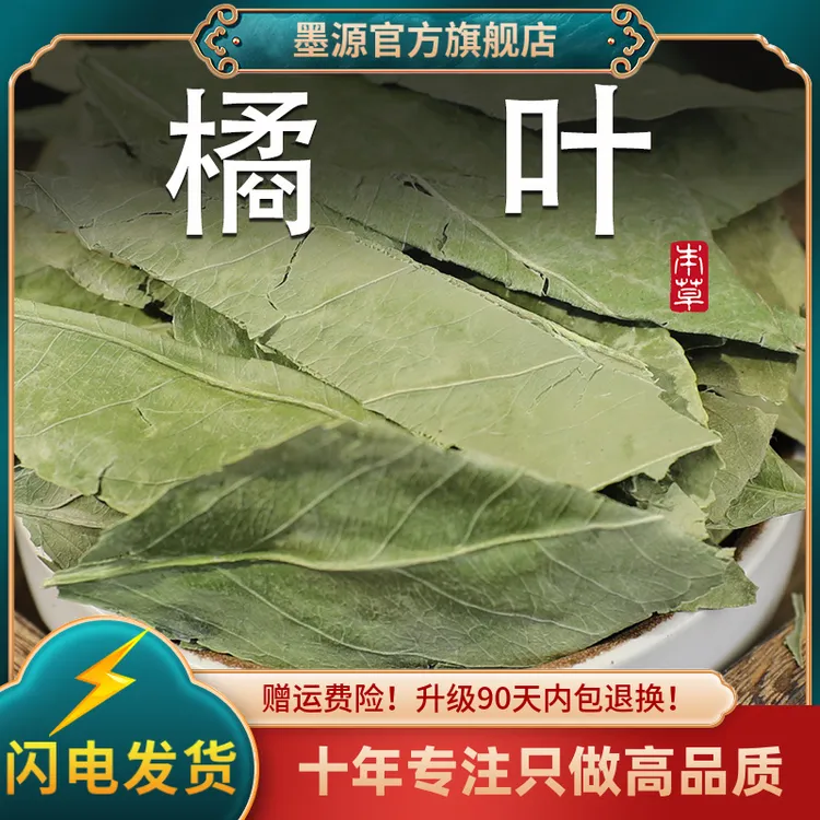 橘叶中药材250g新鲜干橘子叶桔叶桔子叶青桔叶柑橘叶橘叶茶可打粉