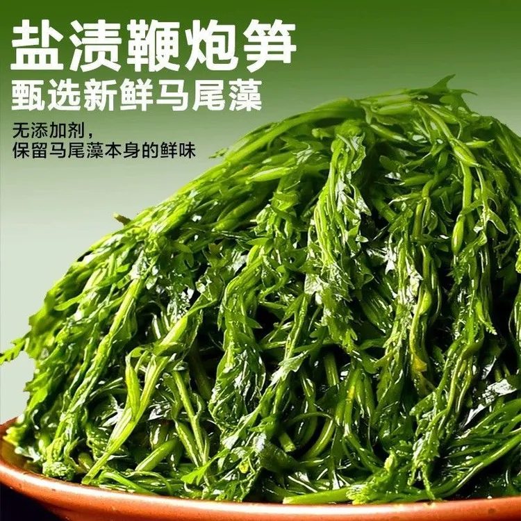 大连新鲜盐渍鞭炮笋马尾藻海草长寿菜可用于火锅凉拌卤味盐渍海带