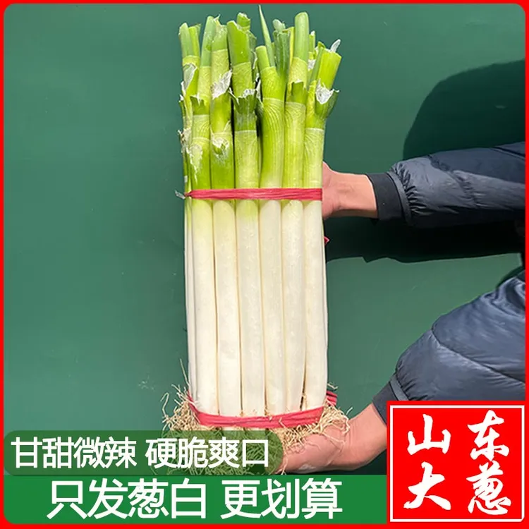 【无叶葱】正宗山东铁杆大葱新鲜蔬菜农家现挖5/10斤甜脆非章丘大葱