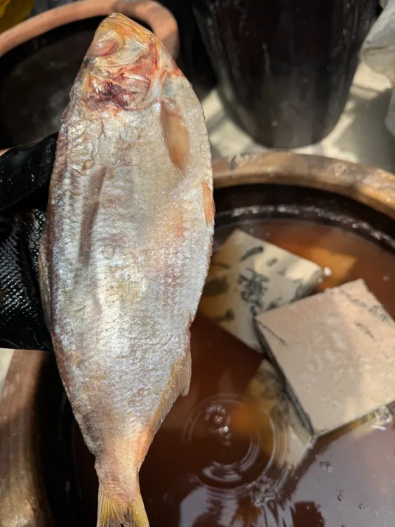 汤腌白鳞鱼 田横大缸腌制