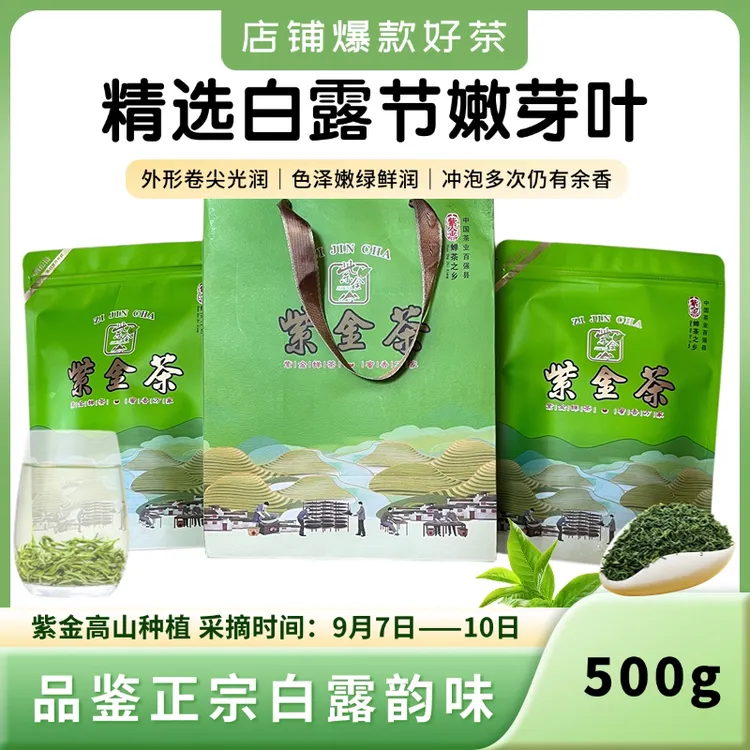 白露茶上市｜2025新茶｜性价比好茶｜正宗高山云雾绿茶｜纯手工采摘