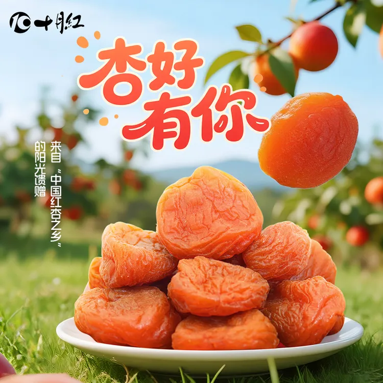 十月红杏干250g*1袋杏肉果脯蜜饯水果干红杏干无核酸甜味休闲零食