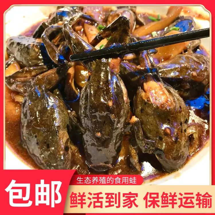 东北林蛙 河鲜  长白山满籽 母蛤蟆顺丰包邮  