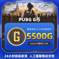 PUBG币绝地求生5500G币CDK兑换码pubg gb代充金币PUBG G-coin