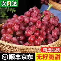 现货明日达【基地直采】TY2大凉山克伦生葡萄新鲜当季水果冰美人无籽脆甜红提0.5-4斤四川省