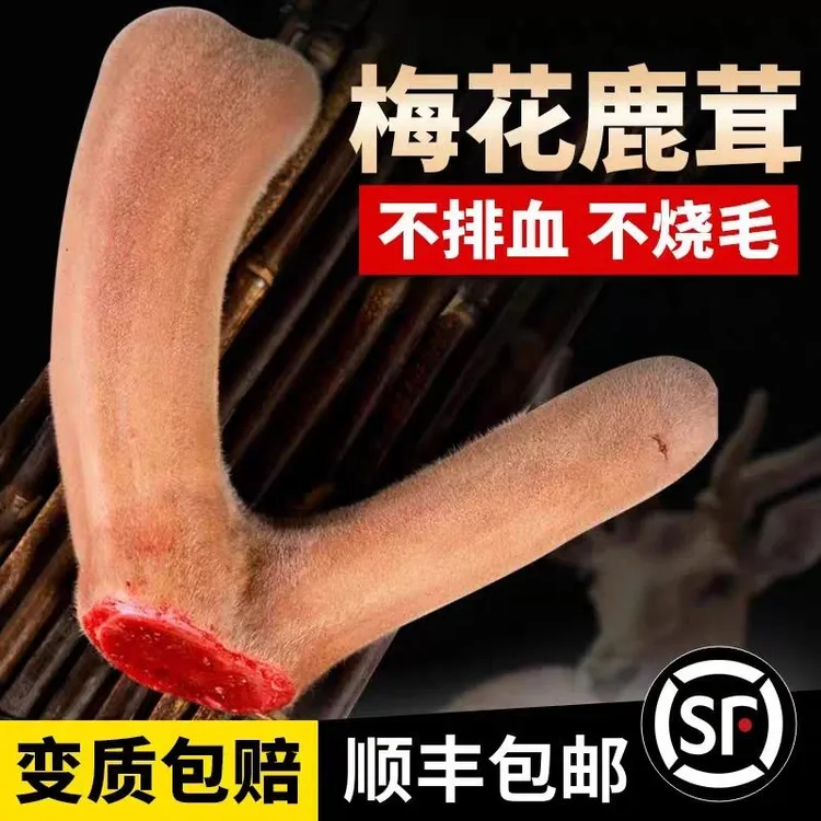 【瑞鹿源】鹿乡产地 【鲜鹿茸】（直播间改价链接）泡酒 下单送山参