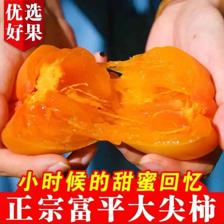 新鲜采摘富平大尖柿柿饼原材料当季水果现摘现发