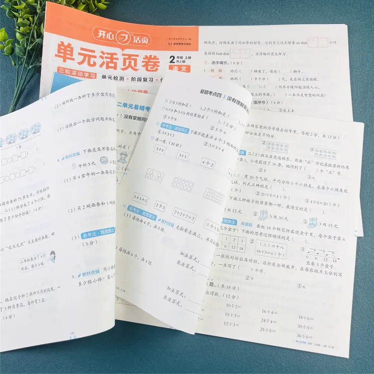 二年级上册试卷测试卷全套期中考试期末考试单元测试卷母题全套